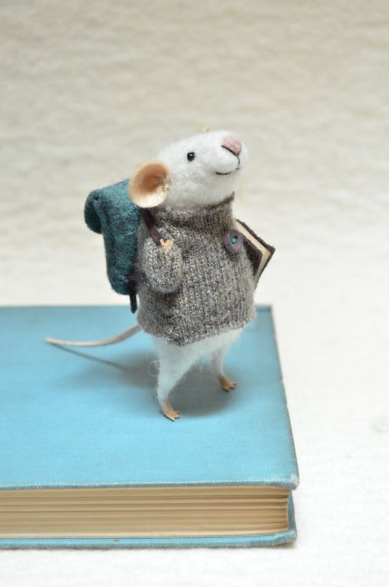 The City Mouse and The Country Mouse (What’s your Comfort Zone ...