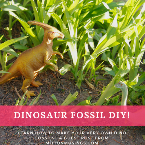 dinodiy