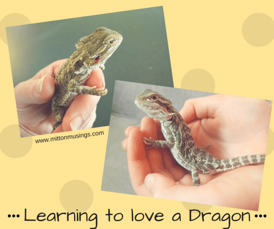 Lovingdragons