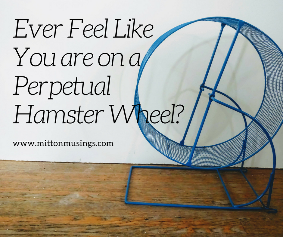 Ever Feel Like You are on the Perpetual Hamster Wheel_