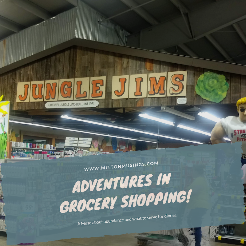 adventuresinshopping