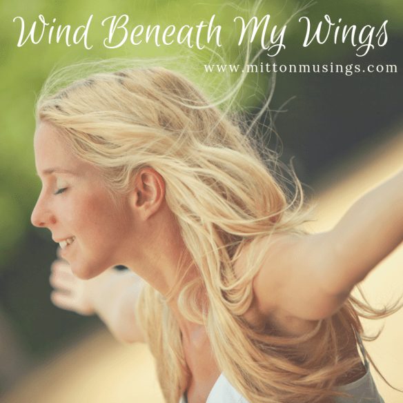 wind beneath my wings